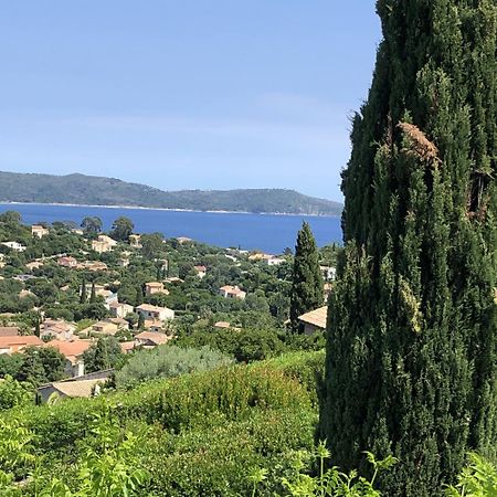 Villa "La Vie Est Belle...!" Cavalaire-sur-Mer Eksteriør bilde