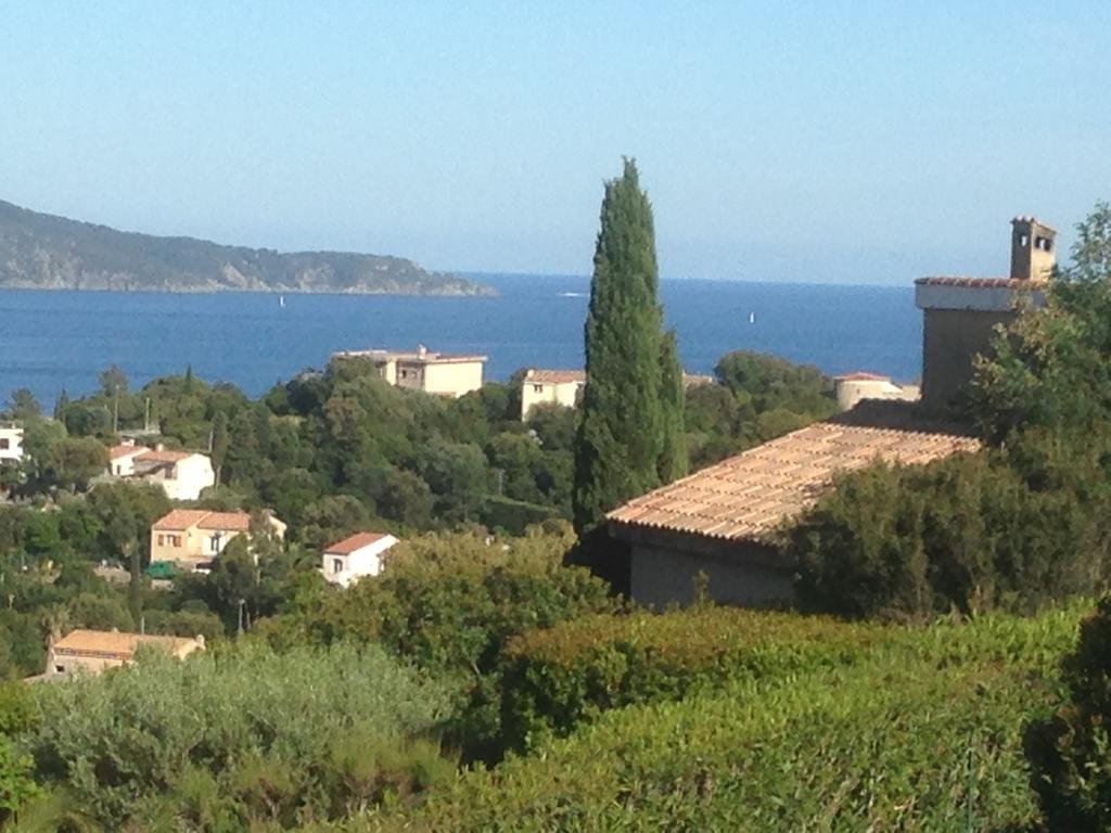 Villa "La Vie Est Belle...!" Cavalaire-sur-Mer Eksteriør bilde